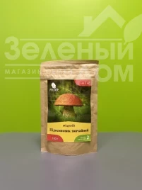Мицелий грибов  Подосиновик обыкновенный купить оптом и в розницу в Украине по выгодной цене