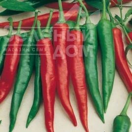 Семена сладкого перца Корал Зел / Koral Zyel, 70-80 дней купить оптом и в розницу в Украине по выгодной цене