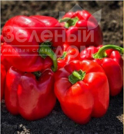 Насіння солодкого перцю 500 F1 купити оптом і в роздріб в Україні за вигідною ціною