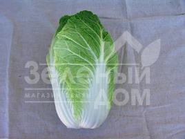 Семена капусты пекинской Форко F1 / Forko F1,55-65 дней купить оптом и в розницу в Украине по выгодной цене