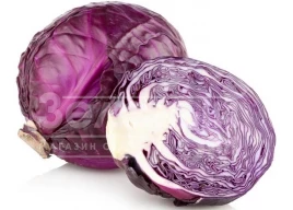 Семена капусты краснокочанной Редма F1 / Redma F1,80 дней купить оптом и в розницу в Украине по выгодной цене