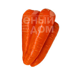 Насіння моркви Курода Пауер / Kuroda Power, 100-110 днів купити оптом і в роздріб в Україні за вигідною ціною