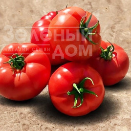 Насіння томатів Мейс F1 / Meic F1,100-105 днів купити оптом і в роздріб в Україні за вигідною ціною