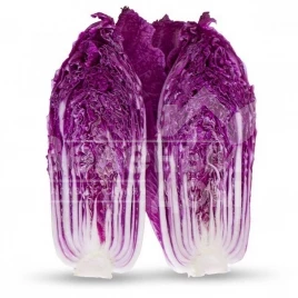 Семена капусты пекинской Ямада (КС 888) F1 / Yamada (KS 888) F1,60 дней купить оптом и в розницу в Украине по выгодной цене