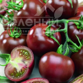 Насіння томатів Бруніто F1 / Brunito F1, 70-80 днів купити оптом і в роздріб в Україні за вигідною ціною