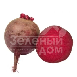 Семена свеклы Джоли F1 / Jolie F1,105-110 дней купить оптом и в розницу в Украине по выгодной цене