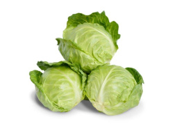 Насіння капусти білокачанної Глобус F1 / Globus F1,48-53 дні купити оптом і в роздріб в Україні за вигідною ціною