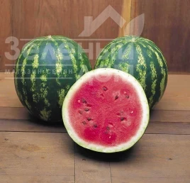 Семена арбуза Кримсон Свит / Crimson Sweet, 80-85 дней купить оптом и в розницу в Украине по выгодной цене