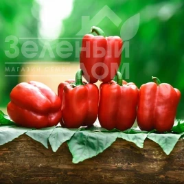 Семена сладкого перца Матадор F1 / Matador F1, 75-80 дней купить оптом и в розницу в Украине по выгодной цене