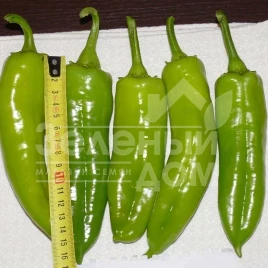 Семена сладкого перца Сильви F1 / Silvi F1,60 дней купить оптом и в розницу в Украине по выгодной цене