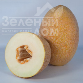 Насіння дині Кубус (КС 6188) F1 / Kubus (KS 6188) F1,75-80 днів купити оптом і в роздріб в Україні за вигідною ціною