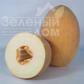 Насіння дині Кубус (КС 6188) F1 / Kubus (KS 6188) F1,75-80 днів купити оптом і в роздріб в Україні за вигідною ціною
