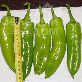 Насіння солодкого перцю Сільві F1 / Silvi F1,60 днів купити оптом і в роздріб в Україні за вигідною ціною
