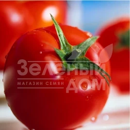 Семена томатов Волна F1 / Volna F1,75-78 дней купить оптом и в розницу в Украине по выгодной цене