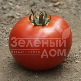 Семена томатов Мирсини F1 / Mirsini F1,100-105 дней купить оптом и в розницу в Украине по выгодной цене