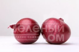 Лук репчатый Рубиред F1 / Rubired F1 купить оптом и в розницу в Украине по выгодной цене
