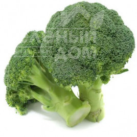 Насіння капусти броколі Вітамінна / Vitaminnaya купити оптом і в роздріб в Україні за вигідною ціною