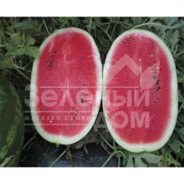 Семена арбуза Ромина F1 / Romina F1 купить оптом и в розницу в Украине по выгодной цене