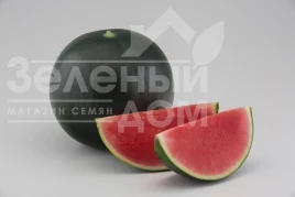 Семена арбуза Морена F1 / Morena F1, 60-62 дня купить оптом и в розницу в Украине по выгодной цене