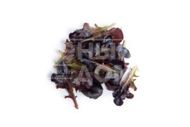 Насіння салату Боттас / Bottas купити оптом і в роздріб в Україні за вигідною ціною