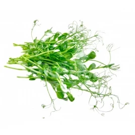 Семена микрогрин Микрогрин Горох / Microgreen Gorokh купить оптом и в розницу в Украине по выгодной цене