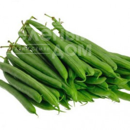 Насіння спаржевої квасолі Ягуар F1 / Jaguar F1 купити оптом і в роздріб в Україні за вигідною ціною