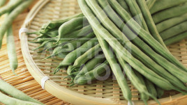 Насіння спаржевої квасолі Гама / Gama купити оптом і в роздріб в Україні за вигідною ціною