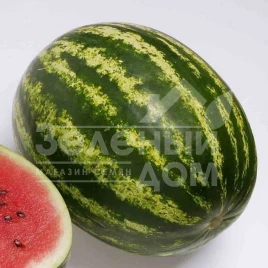 Семена арбуза ВДЛ5003 (Арашан) F1 / VDL5003 (Arashan) F1,64-68 дней купить оптом и в розницу в Украине по выгодной цене