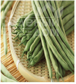 Насіння спаржевої квасолі Пайк / Paik купити оптом і в роздріб в Україні за вигідною ціною