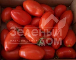 Семена томатов Ред Скай F1 / Red Sky F1,100-110 дней купить оптом и в розницу в Украине по выгодной цене