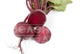 Семена свеклы Либеро / Libero,70-90 дней купить оптом и в розницу в Украине по выгодной цене