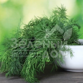 Семена укропа Дилл / Dill купить оптом и в розницу в Украине по выгодной цене