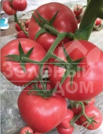 Семена томатов Ризотта F1 / Rizzota F1 купить оптом и в розницу в Украине по выгодной цене