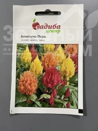 Насіння квітів Целозія периста Блискуче Перо (суміш) купити оптом і в роздріб в Україні за вигідною ціною