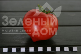 Насіння томатів Амадін F1  / Amadin F1 купити оптом і в роздріб в Україні за вигідною ціною