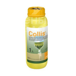 Фунгіциди Колліс / Collis, КС купити оптом і в роздріб в Україні за вигідною ціною