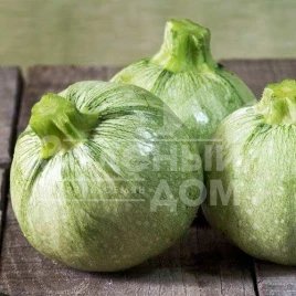 Семена кабачков Раунд Бьюти  F1 / Round Beauty F1 купить оптом и в розницу в Украине по выгодной цене