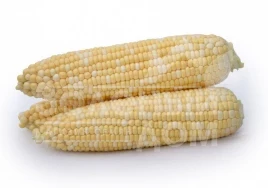 Семена кукурузы Майбико F1 / Maybiko F1 купить оптом и в розницу в Украине по выгодной цене