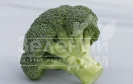 Семена капусты брокколи Батори F1 / Batory F1,70-75 дней купить оптом и в розницу в Украине по выгодной цене