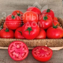 Семена томатов Оскар F1 / Oskar F1 купить оптом и в розницу в Украине по выгодной цене