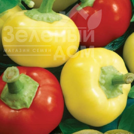 Насіння гіркого перцю Палінда F1 / Palinda F1,70-80 днів купити оптом і в роздріб в Україні за вигідною ціною