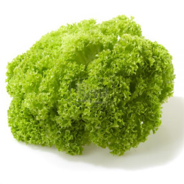 Насіння салату Бартімер / Bartimer купити оптом і в роздріб в Україні за вигідною ціною