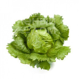 Насіння салату Аруша / Arusha купити оптом і в роздріб в Україні за вигідною ціною