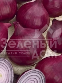 Лук репчатый Фиамма F1 / Fiamma F1 купить оптом и в розницу в Украине по выгодной цене