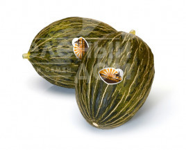 Насіння дині Рікура F1 / Ricura F1,75-85 днів купити оптом і в роздріб в Україні за вигідною ціною