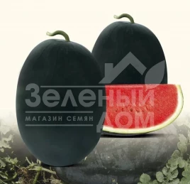 Семена арбуза Реве F1 / Reve F1 купить оптом и в розницу в Украине по выгодной цене