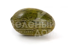 Семена дыни Мeсура F1 / Mesura F1,75-85 дней купить оптом и в розницу в Украине по выгодной цене