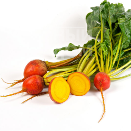 Насіння буряка Голден Ай / Golden Eye, 85-90 днів купити оптом і в роздріб в Україні за вигідною ціною