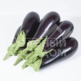 Семена баклажана КС 1258  F1 / KS 1258  F1 купить оптом и в розницу в Украине по выгодной цене