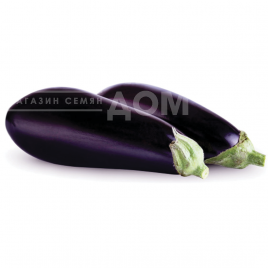 Насіння баклажанів Біга F1 / Biga F1, 65-70 днів купити оптом і в роздріб в Україні за вигідною ціною